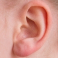 orecchio
